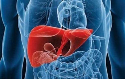 MÉDICA ESPECIALISTA EM HEPATOLOGIA